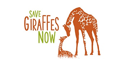 save-giraffe
